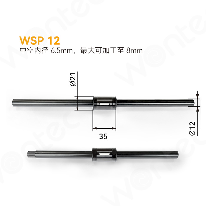 WSP 12 - Straight barrel type